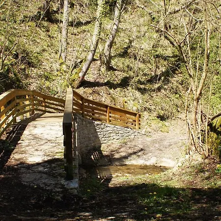 Blanca Senda Del Oso Páramo