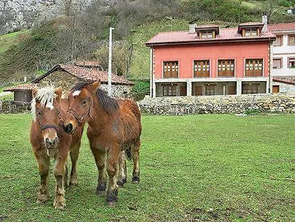 Blanca Senda Del Oso