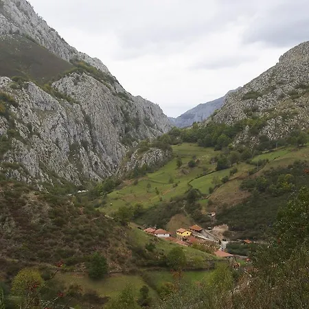 Blanca Senda Del Oso Páramo