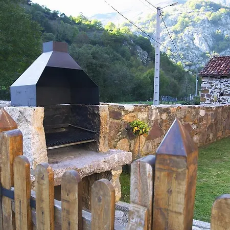 Blanca Senda Del Oso Páramo