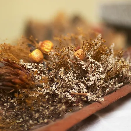 Blanca Senda Del Oso アパート Páramo